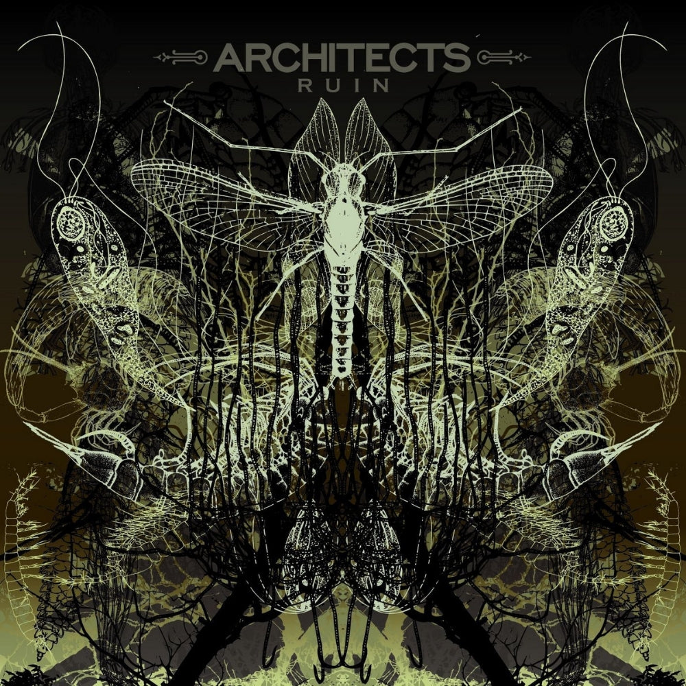 Architects - Ruin - LP Gatefold - Napalm Records - Image 2
