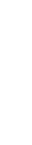 3488-0