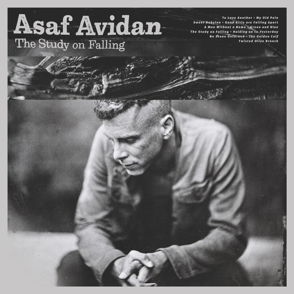Asaf Avidan - The Study On Falling - LP - Telmavar Records LTD