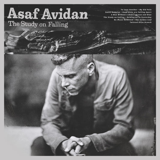 Asaf Avidan - The Study On Falling - LP - Telmavar Records LTD