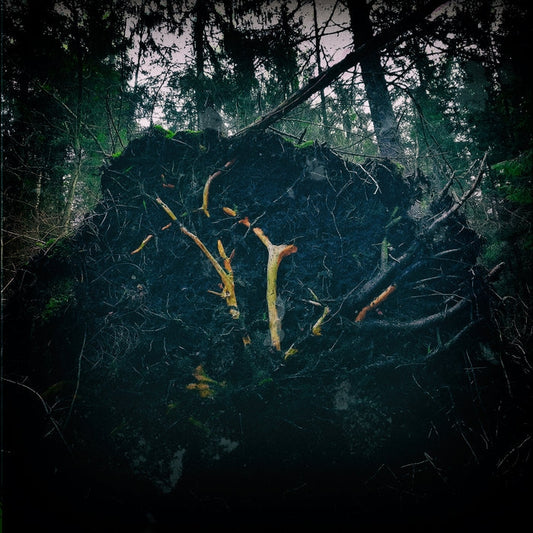 Aukels - Raynkaym - CD - Werewolf Promotion
