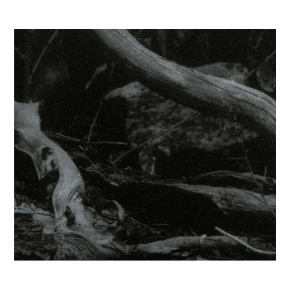 Barren Canyon - World Of Wounds - CD DIGIPAK - Avantgarde Music