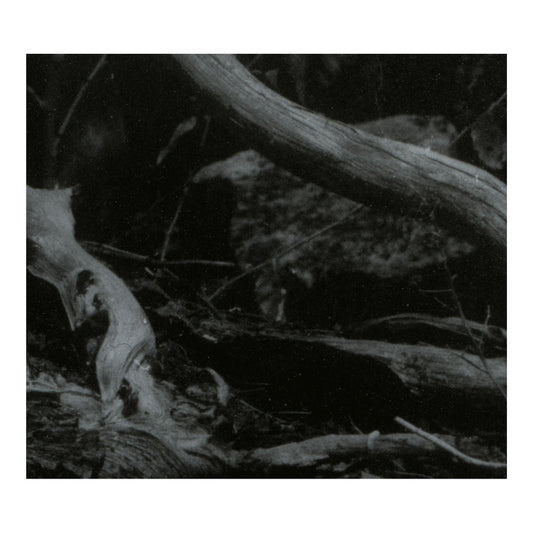 Barren Canyon - World Of Wounds - CD DIGIPAK - Avantgarde Music