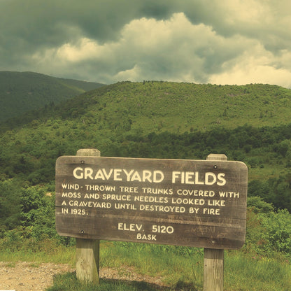 Bask - Graveyard Fields - Mini LP coloured - Self Aware Records - Image 3
