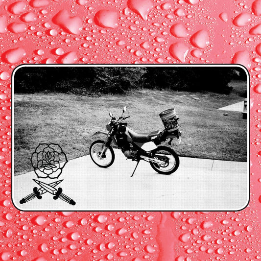 Bass Drum Of Death - Say I Won't - LP - Fat Possum Records