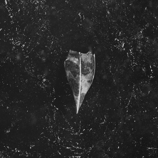 Bees Made Honey In The Vein Tree - Aion - CD DIGISLEEVE - Magnetic Eye Records