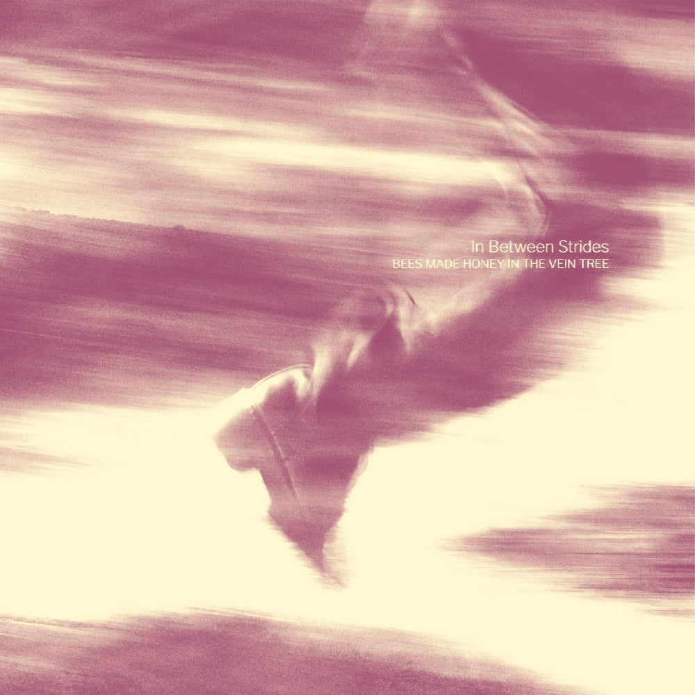 Bees Made Honey In The Vein Tree - In Between Strides - CD DIGISLEEVE - Magnetic Eye Records