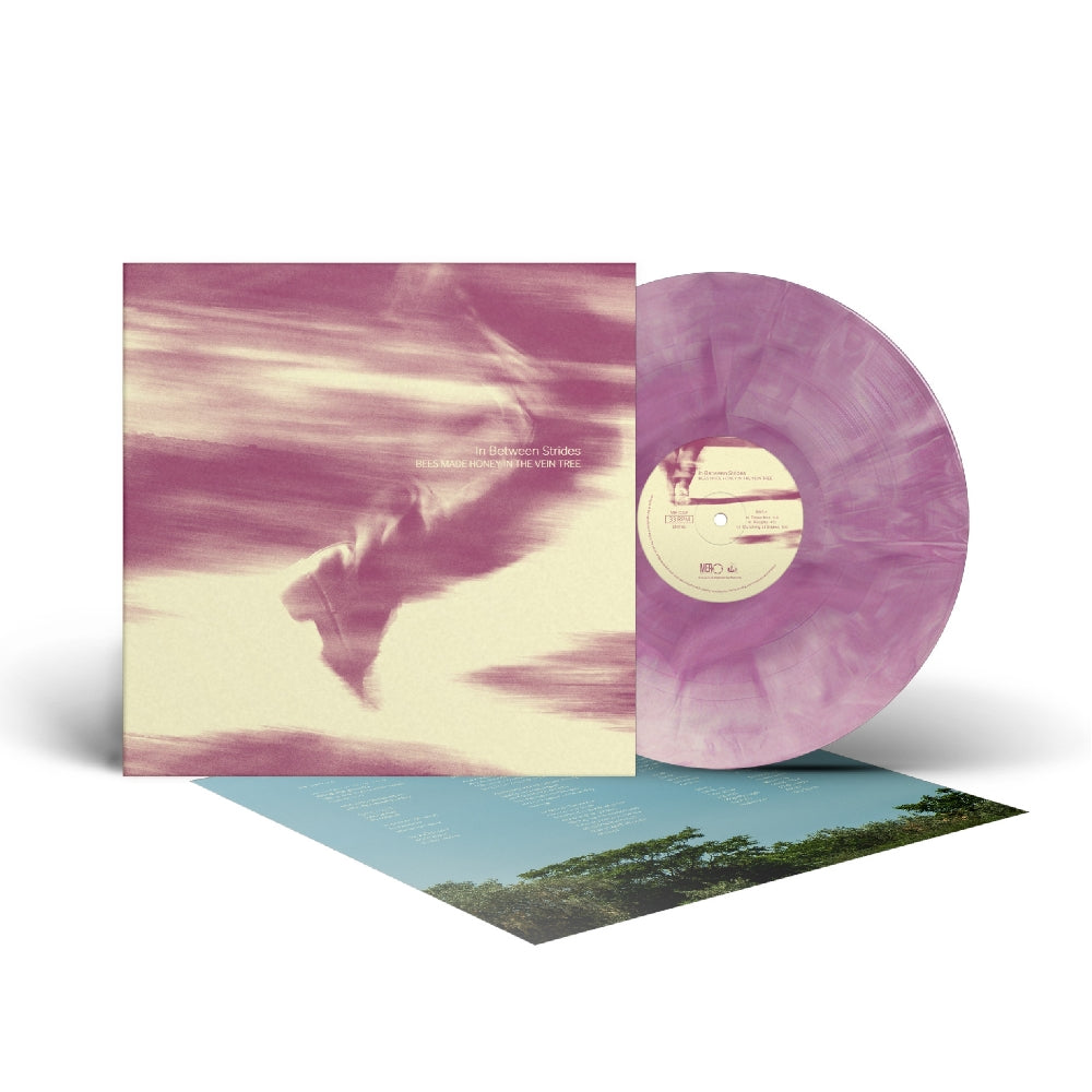 Bees Made Honey In The Vein Tree - In Between Strides - LP COLOURED - Magnetic Eye Records