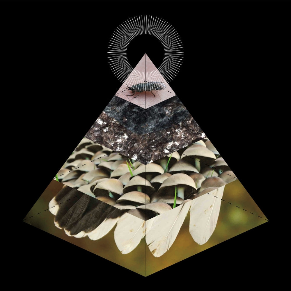 Belus - Apophenia - CD - Vendetta Records