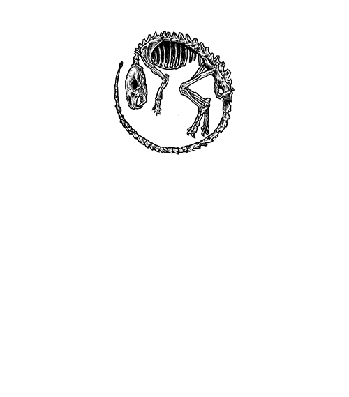 667-0