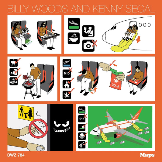 Billy Woods - Maps - LP - Backwoodz Studioz