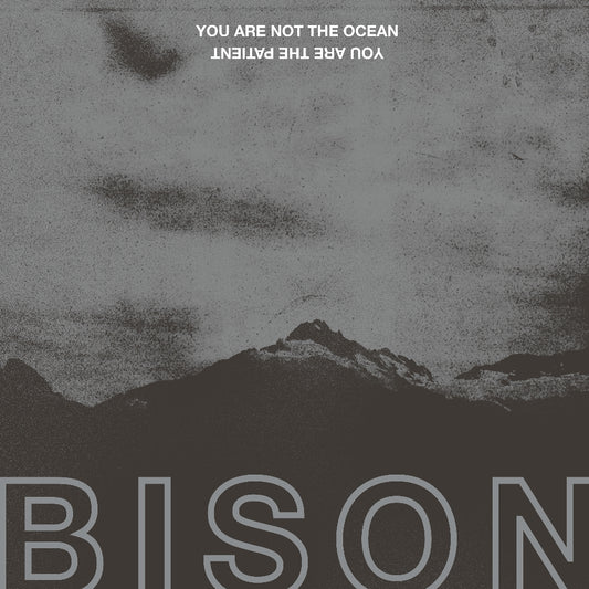 Bison - You Are Not The Ocean You Are The Patient - LP - Pelagic