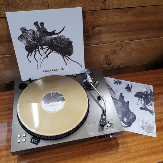 Bizarrekult - Den Tapte Krigen - LP Gatefold Coloured - Underground Activists - Image 2
