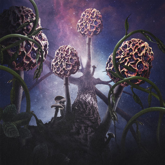 Blut Aus Nord - Hallucinogen - Double LP gatefold coloured Slipcase - Debemur Morti - Image 2