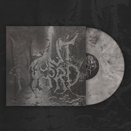 Blut Aus Nord - The Work Which Transforms God - LP COLOURED - Debemur Morti - Image 2