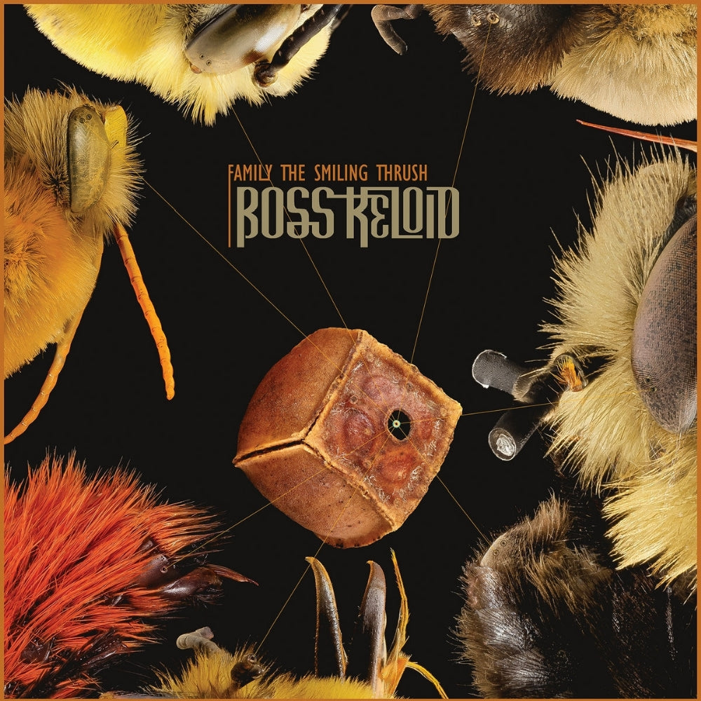 Boss Keloid - Family The Smiling Thrush - CD DIGIPAK - Ripple Music