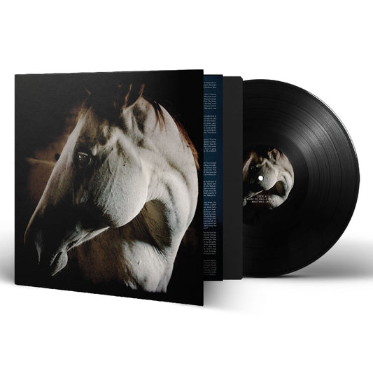 Brother Dege - How To Kill A Horse - LP Gatefold - Prophecy Productions