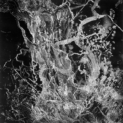 Bruit - Monolith - LP Gatefold - Pelagic - Image 2