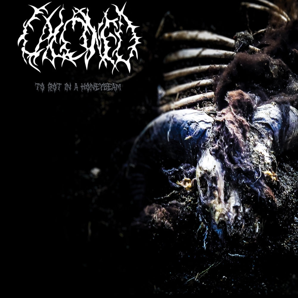 Calcined - To Rot In A Honeybeam - CD DIGIPAK - Great Dane Records