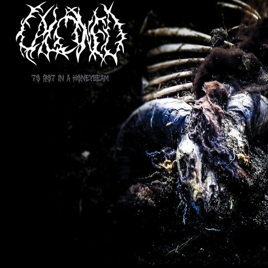 Calcined - To Rot In A Honeybeam - CD DIGIPAK - Great Dane Records