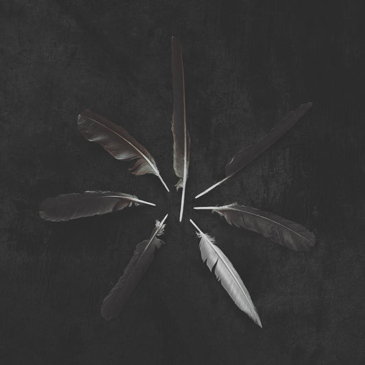 Caspian - Dust And Disquiet - LP COLOURED - Triple Crown Records Inc