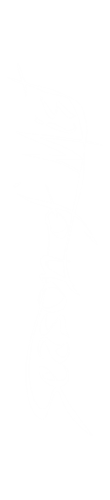 3482-0