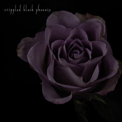 Crippled Black Phoenix - Painful Reminder / Dead Is Dead - 10" vinyl - Season of Mist - Image 2