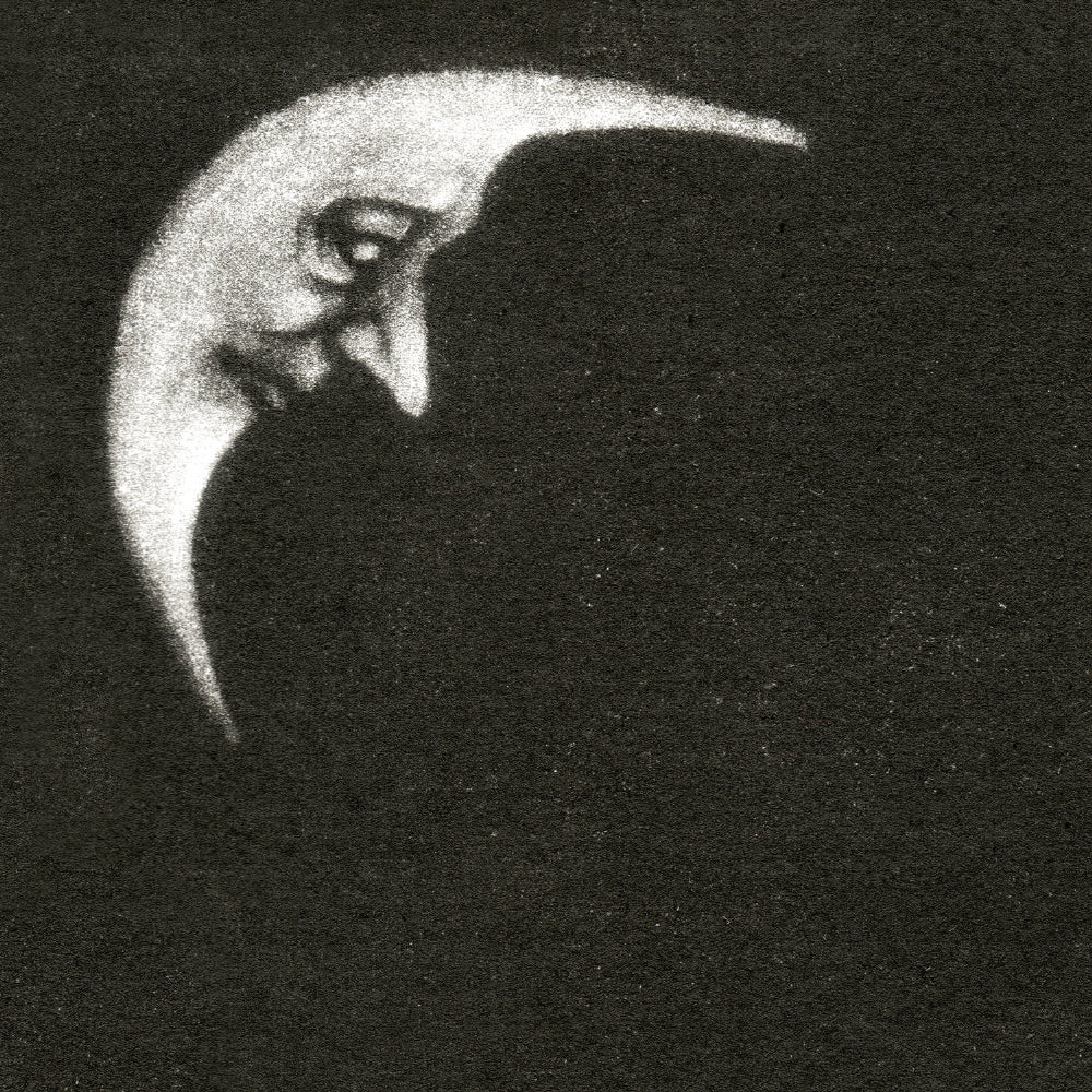 Crippled Black Phoenix - Sceaduhelm + Horrific Honorifics Number Two Point Five (2.5) - Double LP Gatefold Coloured + 10" - Season of Mist - Image 14