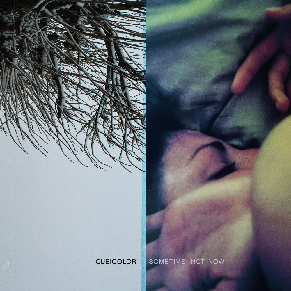 Cubicolor - Sometime Not Now - DOUBLE LP GATEFOLD - Anjunadeep