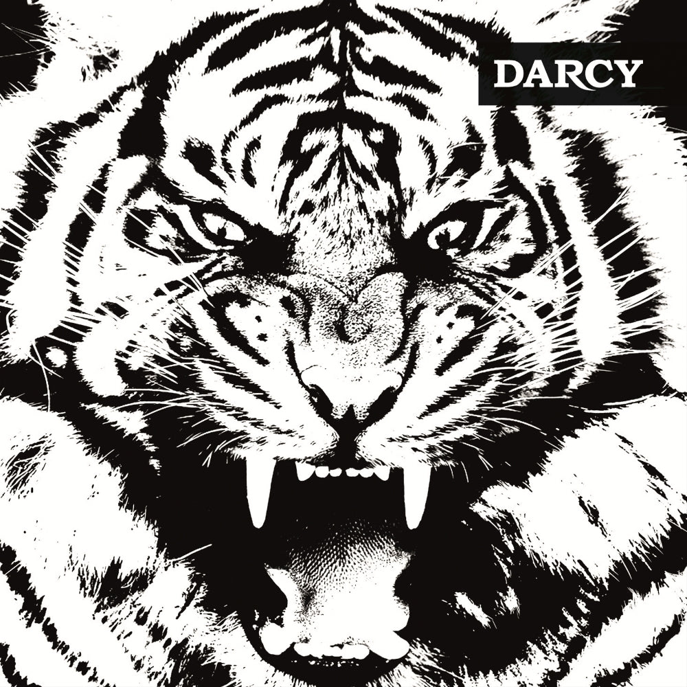 Darcy - Tigre - LP COLOURED - Verycords - Image 2