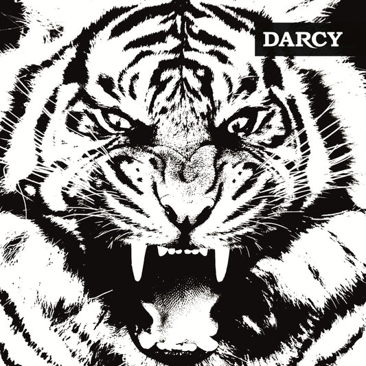 Darcy - Tigre - LP COLOURED - Verycords - Image 2