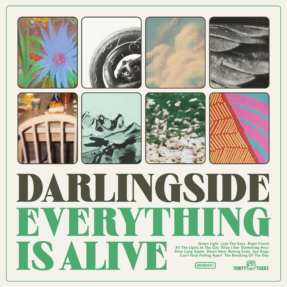 Darlingside - Everything Is Alive - CD DIGISLEEVE - More Doug Records - Thirty Tigers