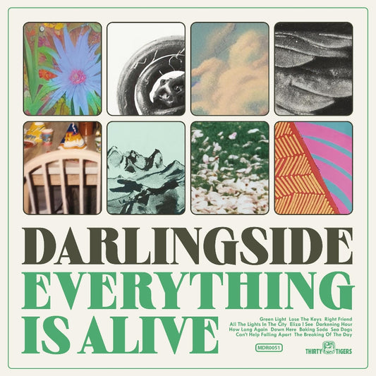 Darlingside - Everything Is Alive - CD DIGISLEEVE - More Doug Records - Thirty Tigers