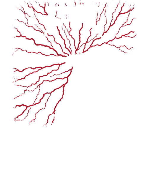 1992-0