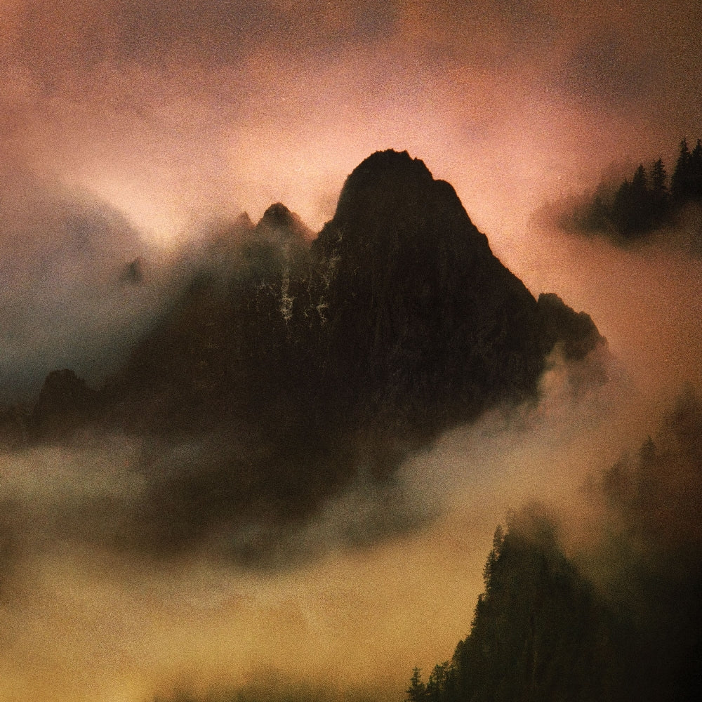 Dead To A Dying World - Elegy - CD DIGIPAK - Profound Lore