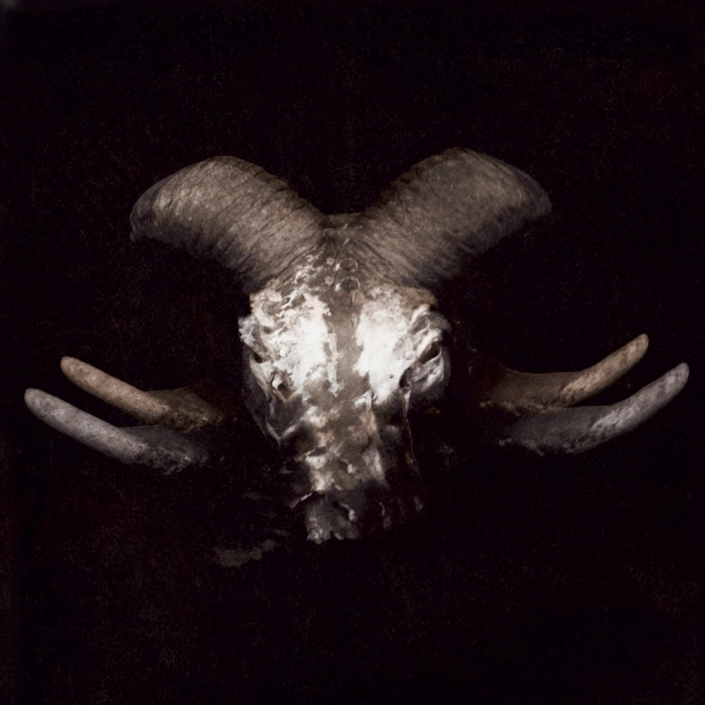 Deathbarrel - Life Resignation Notice - CD/Vinyl - Image 1 - 