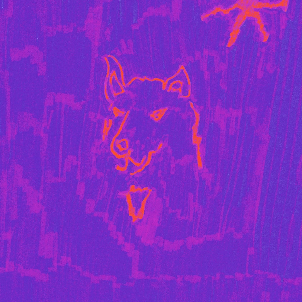 Dehd - Poetry - CD DIGIPAK - Fat Possum Records