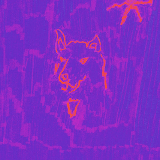 Dehd - Poetry - CD DIGIPAK - Fat Possum Records