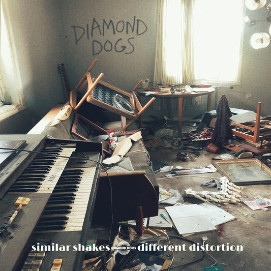 Diamond Dogs - Similar Shakes Different Distortion - LP - Wild Kingdom Records - Image 2