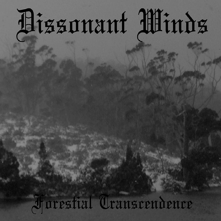 Dissonant Winds - Forestial Transcendence - CD DIGIFILE - Transcendance