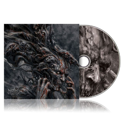 Distant - Into Despair - CD/Vinyl - Image 1 - 