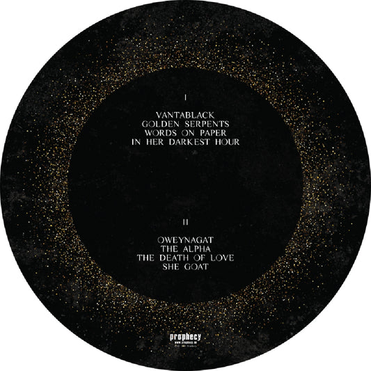 Dool - Here Now, There Then - LP PICTURE - Prophecy Productions - Image 2