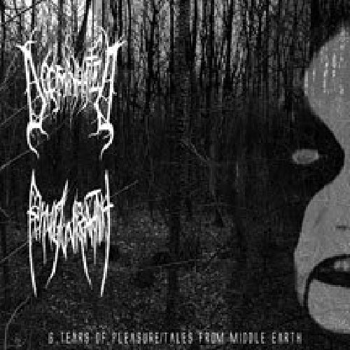 Doominhated - Ringwraith - 6 Tears Of Pleasure / Tales From Middle Earth - CD - BlackMetal.com