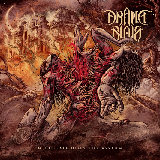 Drama Noir - Nightfall Upon The Asylum - LP COLOURED - Floga records - Image 2