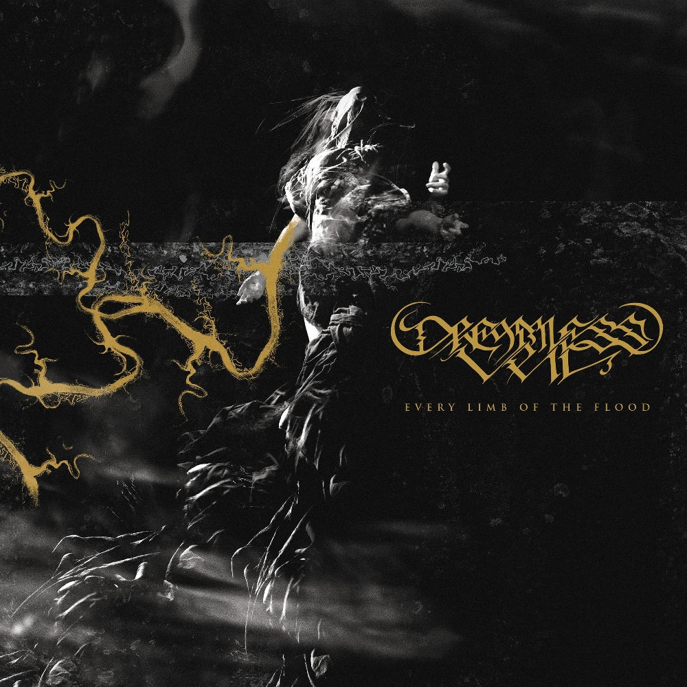 Dreamless Veil - Every Limb Of The Flood - LP COLOURED - Relapse Records - Image 2