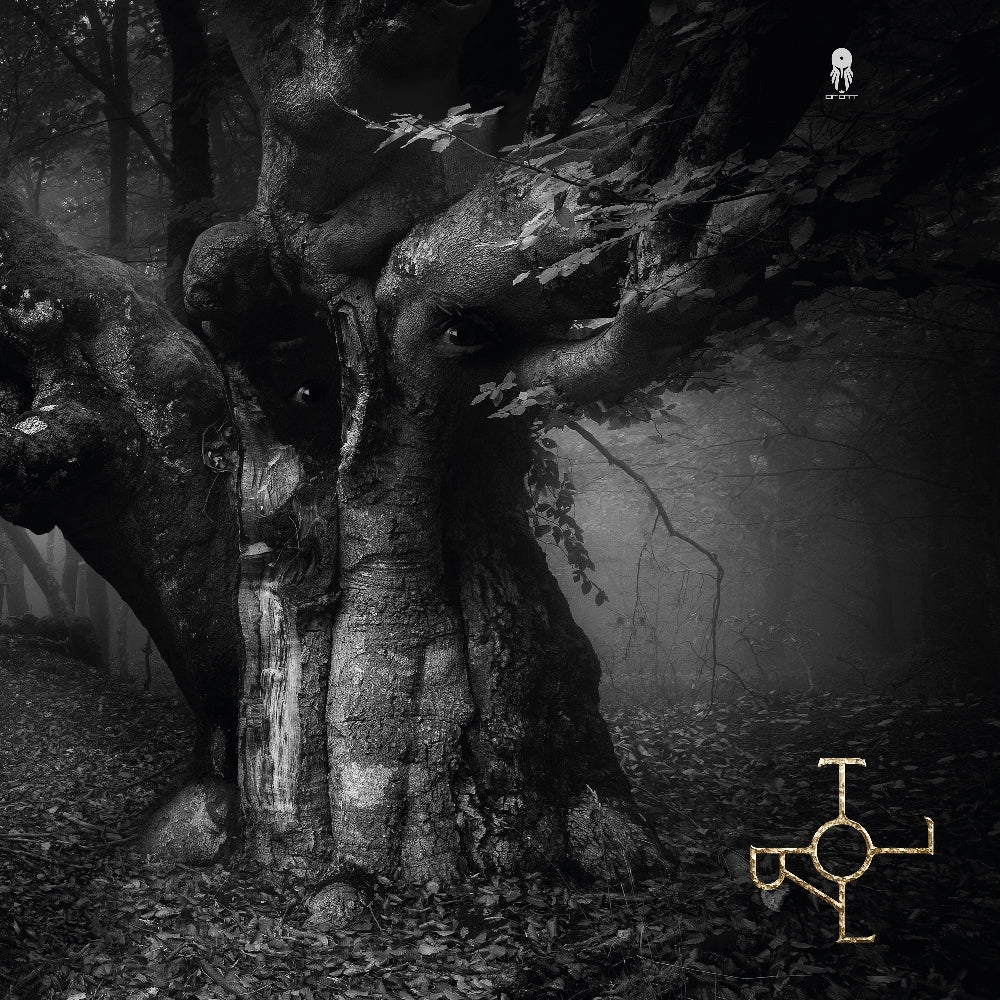 Drott - Troll - CD DIGIPAK - By Norse Music
