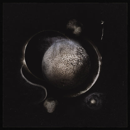 Enthroned - Cold Black Suns - CD DIGIPAK - Season of Mist - Image 2