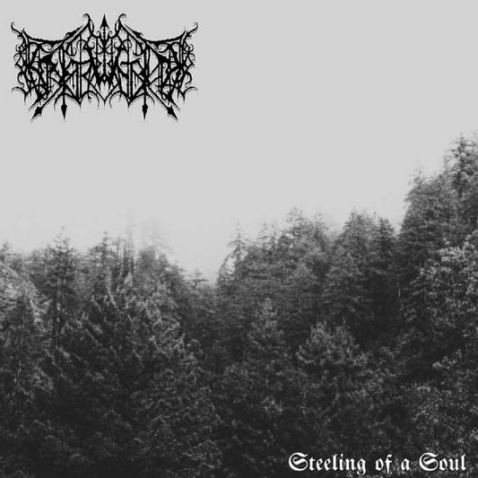 Erstwhile - Steeling of a Soul - Mini LP - Adirondack Black Mass