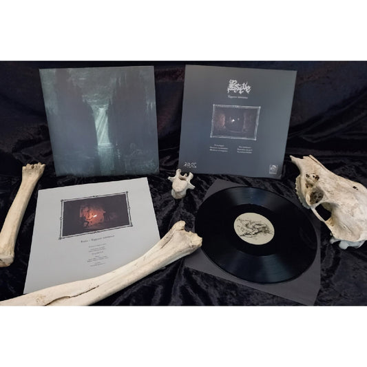 Estve - Egyenes Labirintus - LP - Amor Fati