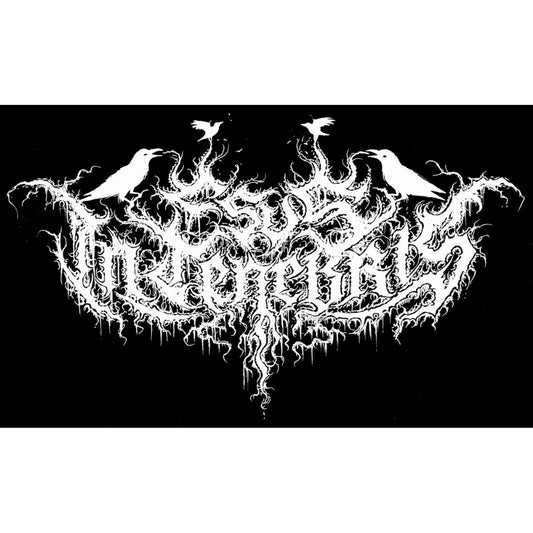 Esus In Tenebris - Chamber Of Shadows - CASSETTE - Adirondack Black Mass